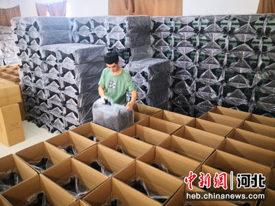 河北白溝 箱包業(yè)與化妝品產(chǎn)業(yè)協(xié)同發(fā)展，上半年收入達73.76億元